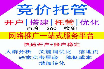 百度竞价推广运营实战技巧与经典案例剖析