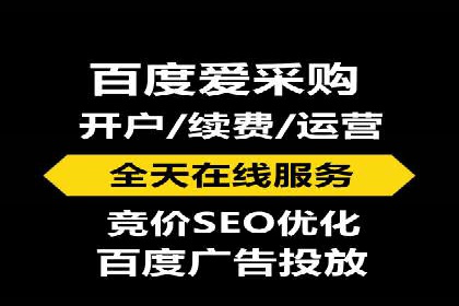 百度竞价排名服务：实战案例解析与优化技巧